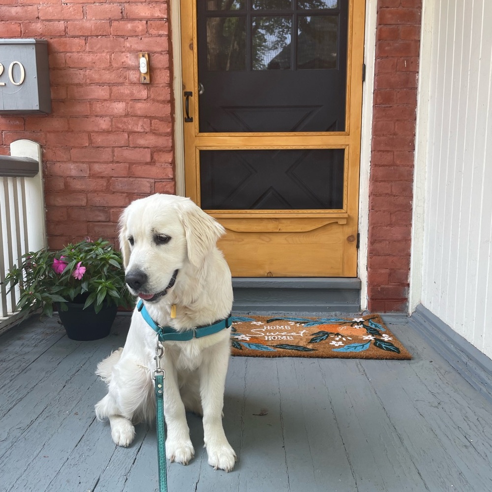 Meet your Posher, Olivia